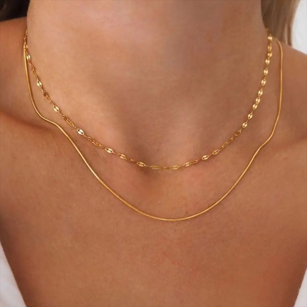 Dainty Double Layered Chain